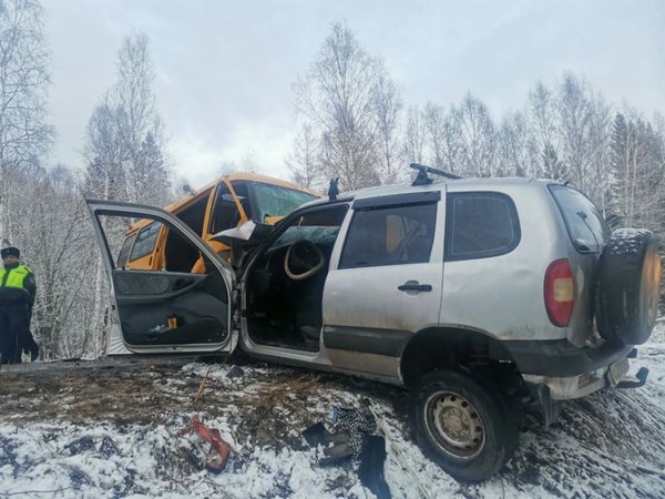 Один человек погиб, девять пострадали в ДТП с автобусом детского дома в Иркутской области